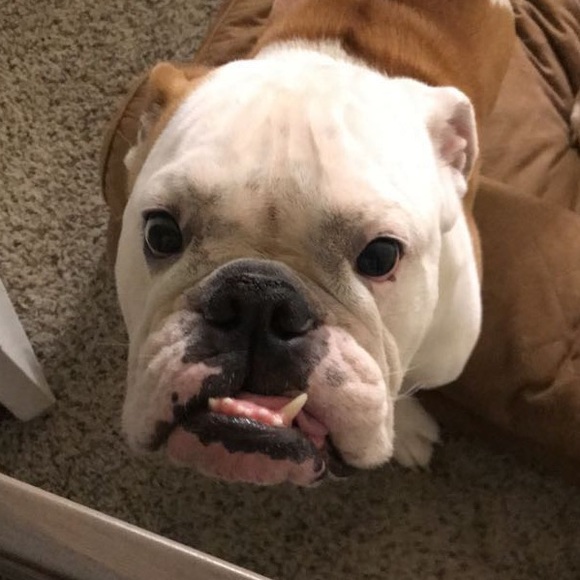 Meet Your Posher! ☕️🖤 - Picture 4 of 4